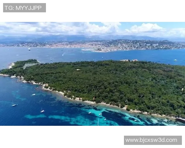 林斯竞技迎战圣保罗期待精彩对决与激烈竞争