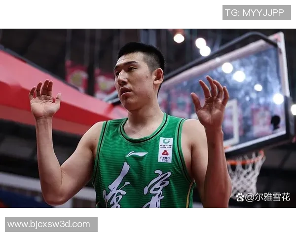 辽宁与广厦激战回放精彩瞬间全景解析与赛后点评