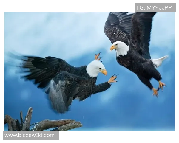 巴西与比利时在激情四溢的球场上展开激烈对决的精彩瞬间 巴西与比利时在激情四溢的球场上展开激烈对决的精彩瞬间