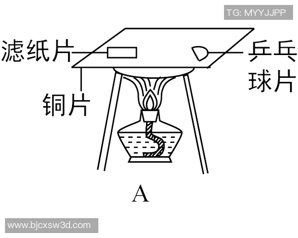 科学乒乓球技术训练方法探究与实践指导提升运动表现的有效途径
